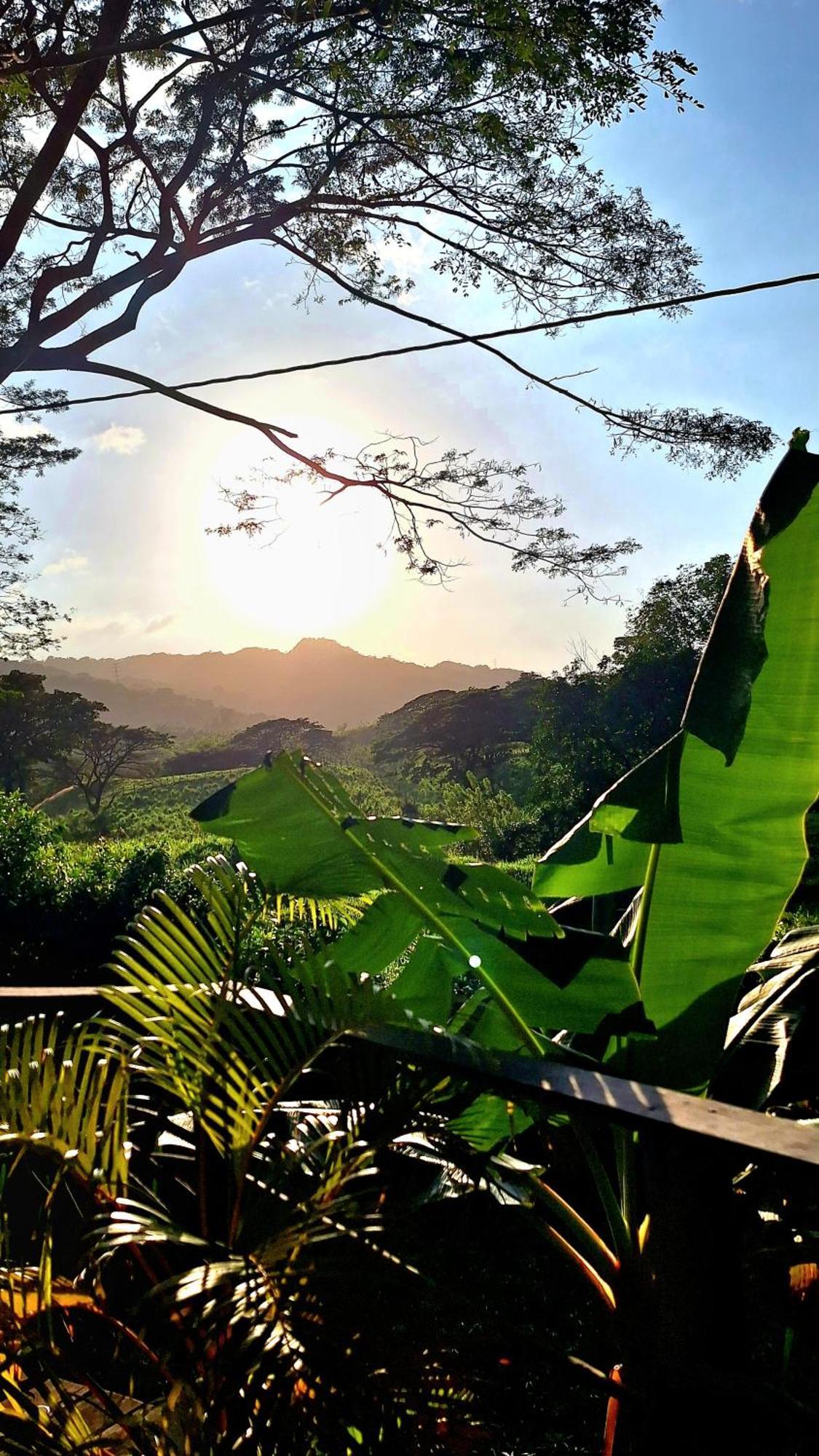 Pensión Mama Tayrona 3*